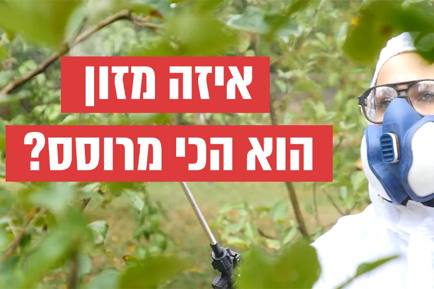 אילו ירקות ופירות הכי מרוססים?