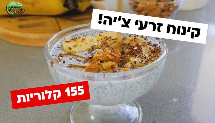 מתכון להכנת קינוח זרעי צ'יה (דל-קלוריות)