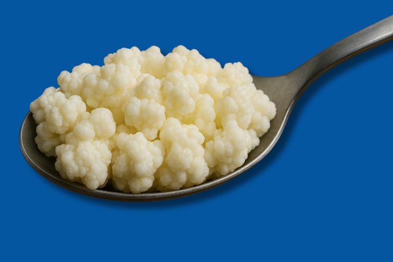 10 מזונות פרוביוטיים שמאיצים ירידה במשקל