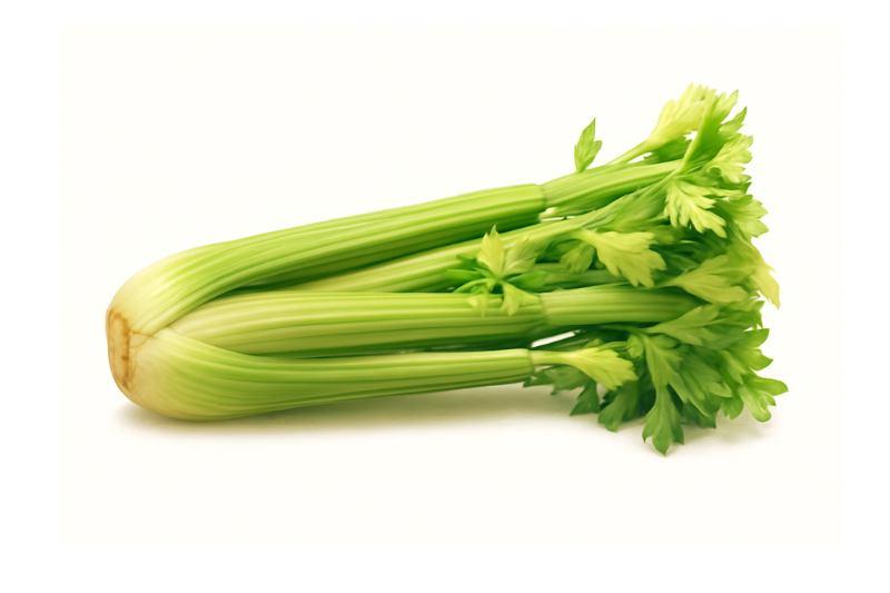 מה קורה לגוף כשאוכלים סלרי? היתרונות המפתיעים