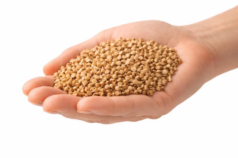 5 מזונות מהצומח שמכילים חלבון מלא איכותי