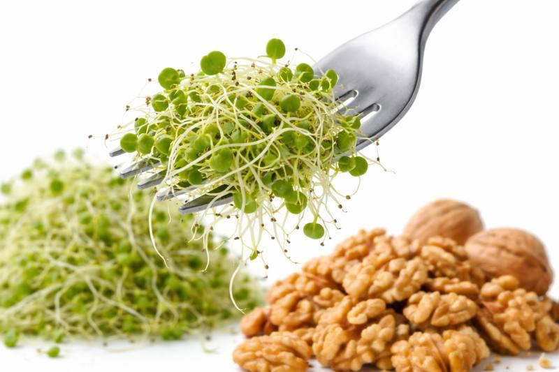 10 מזונות-על לשיפור תפקוד המוח, הפחתת דלקת ואריכות ימים