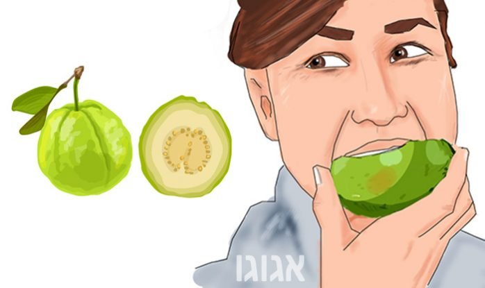 10 יתרונות בריאותיים של הגויאבה