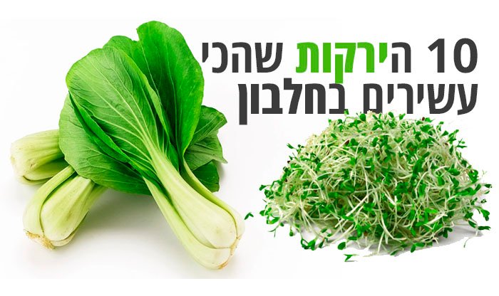 10 הירקות שהכי עשירים בחלבון