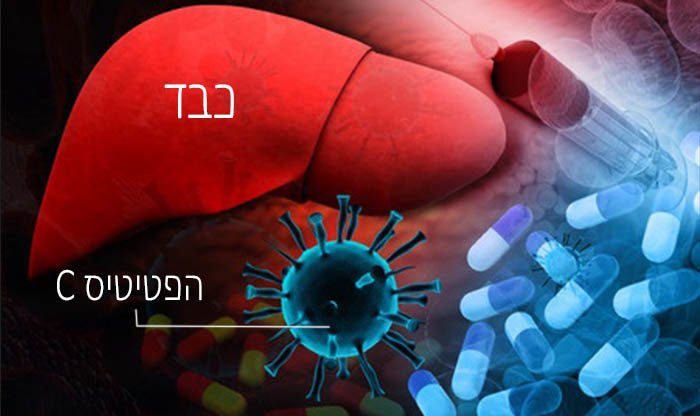הפטיטיס C – וכל מה שצריך לדעת על הפטיטיס