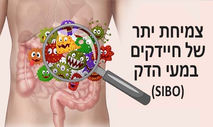 צמיחת יתר של חיידקים במעי הדק (SIBO)