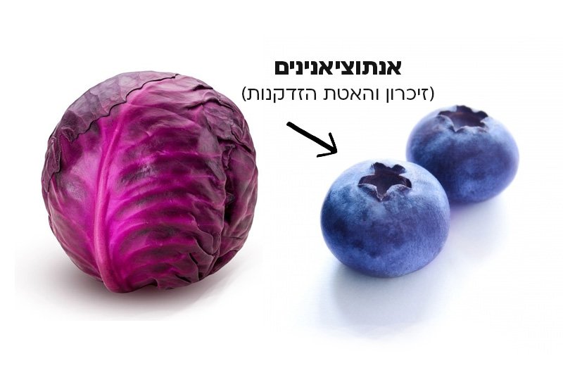 חשיבות הצבעים בפירות וירקות