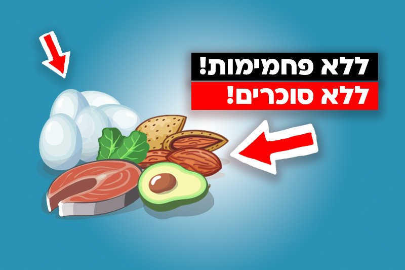 רשימה של מזונות ללא פחמימות וללא סוכר