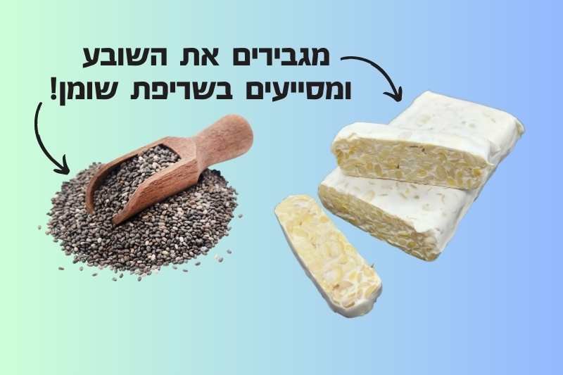 6 מזונות שעשירים בחלבון עם מעט פחמימות