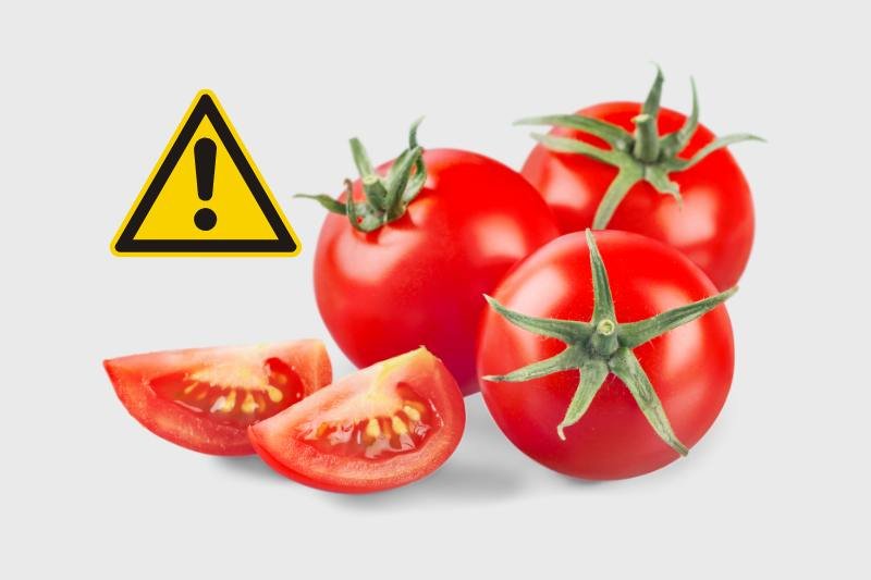 למי לא מומלץ לאכול עגבניות ותוצריהן?