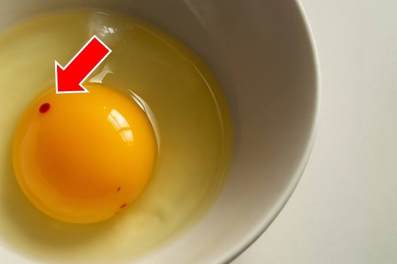 למה יש כתם אדום בביצים מסוימות? האם אפשר לאכול?