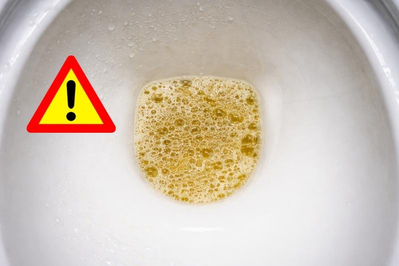 5 אותות אזהרה שהכליות שולחות במצוקה ומה כדאי לעשות